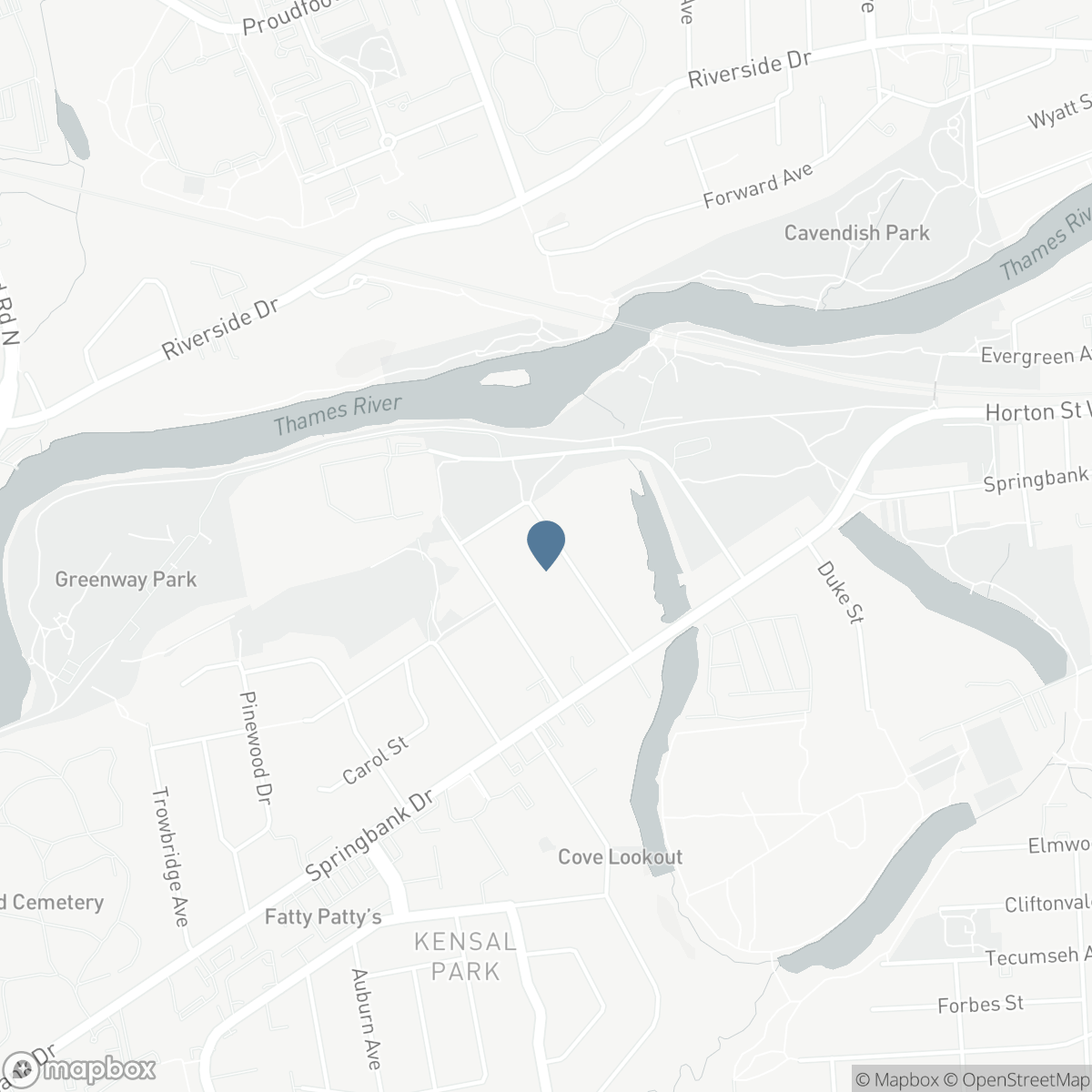 149 FOREST HILL AVENUE, London, Ontario N6J 2Z3